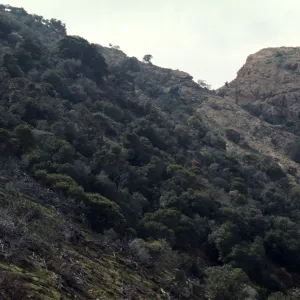 Santa Cruz Island