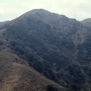 Santa Cruz Island