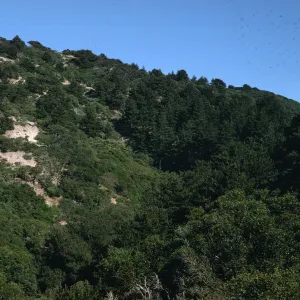 Santa Cruz Island