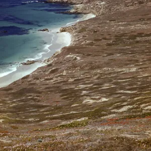 Tyler Bight, looking west, San Miguel Island
