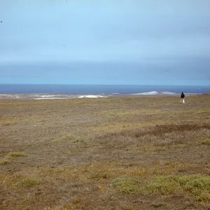 San Miguel Island, grassy mesa west of Green Mountain