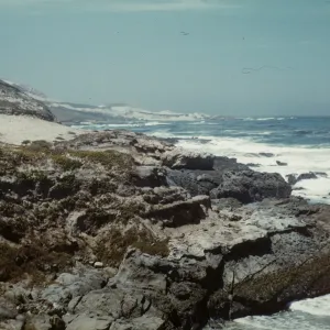 San Miguel Island, north of Green Mountian at center of Simonton Cove, looking toward Otter Harbor