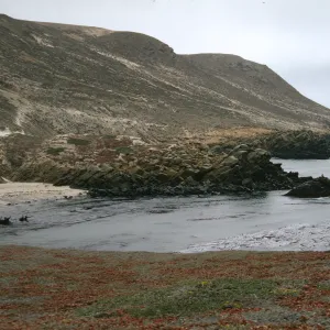 San Miguel Island