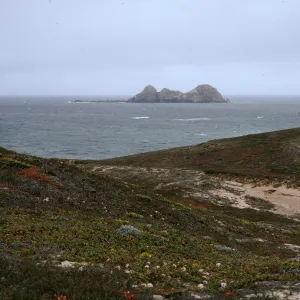 Castle Rock, San Miguel Island