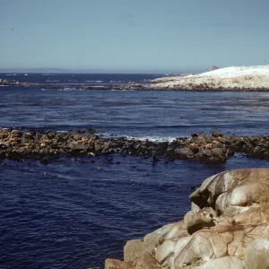 Point Bennett, San Miguel Island