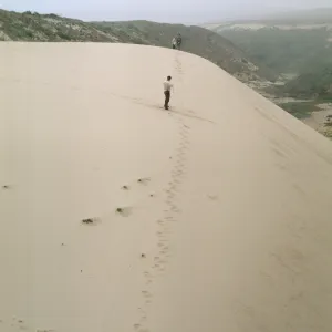 measuring a San Miguel Island sand dune
