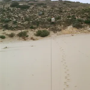 NPS vegetation transect on San Miguel