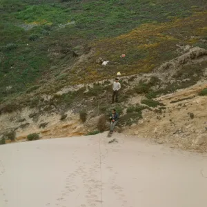 NPS dune transect, San Miguel Island