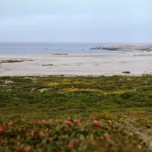 San Miguel Island, Adams Cove