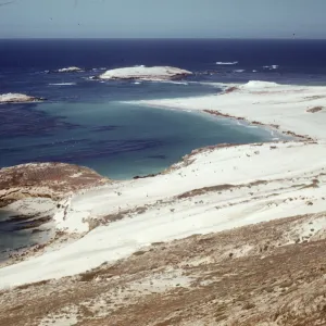 San Miguel Island, Adams Cove