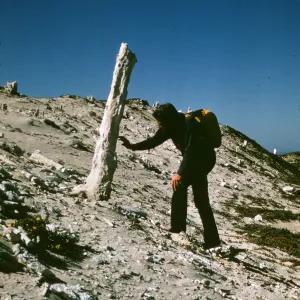 sand castings, caliche forest on San Miguel Island