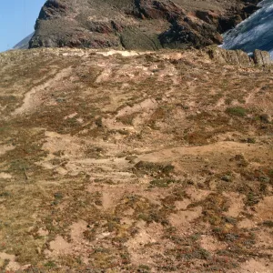 San Miguel Island