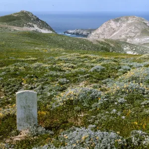 San Miguel Island, Lester grave, Harris Point