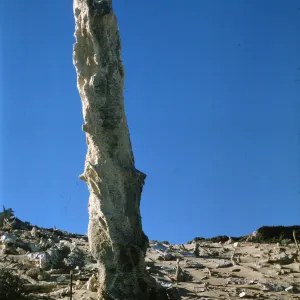 San Miguel Island caliche forest, fossil concretions