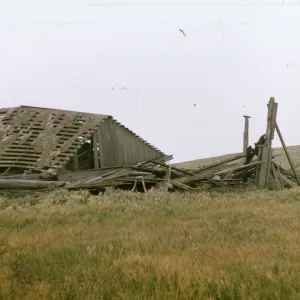 Lester barn on San Miguel Island