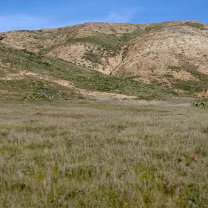 San Miguel Island