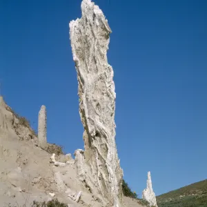Concretion on San Miguel Island