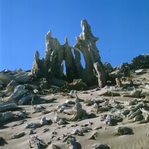 Concretions on San Miguel Island