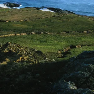 San Miguel Island