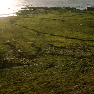 San Miguel Island