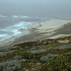 San Miguel Island