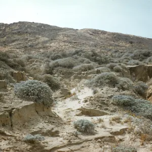 San Nicolas Island
