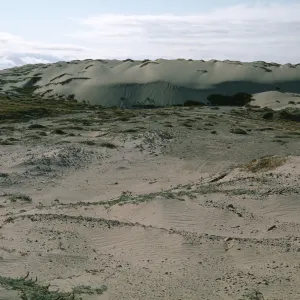marching sand dune on San Nicolas Island