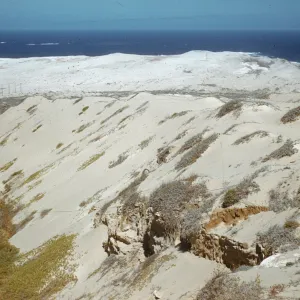 San Nicolas Island sand dune