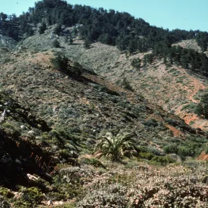 Canada de la Mina ruins, Isla de Cedros