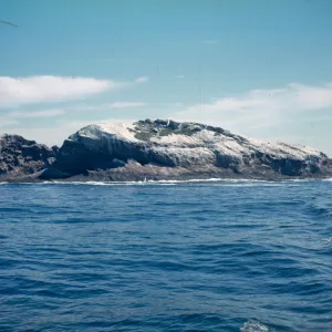 bird rocks, Middle Coronados Island