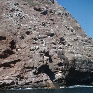 North Coronados Island