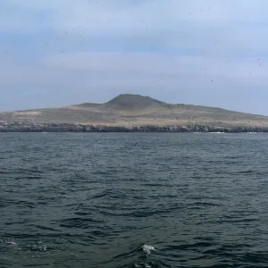 San Martin Island
