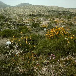 San Martin Island, peak from lagoon
