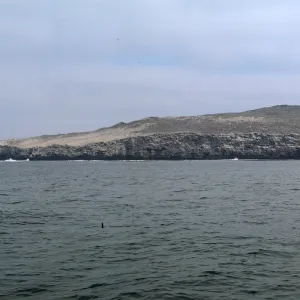 San Martin Island