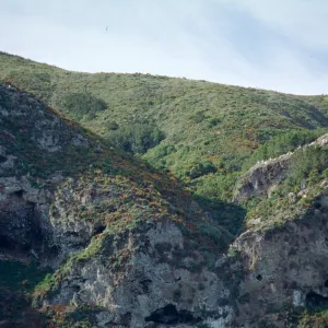 North side of West Anacapa Island