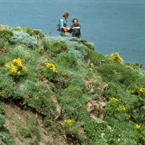 Anacapa Island