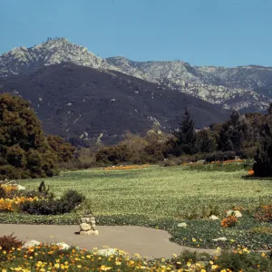 Strawberry Meadow, 1944? (Meadow 1940s-1950s)