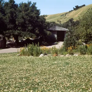 Information Kiosk and strawberry Meadow