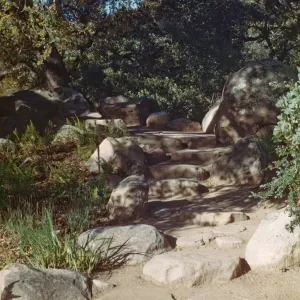 Meadow steps