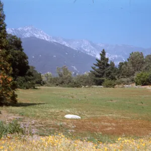 Botanic Garden Sta Barbara (Meadow 1940s-1950s)