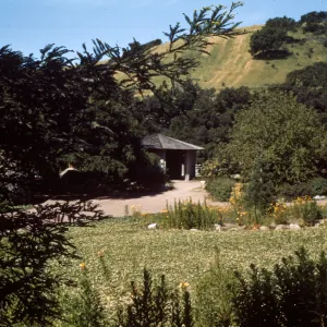 Across meadow to Information Center