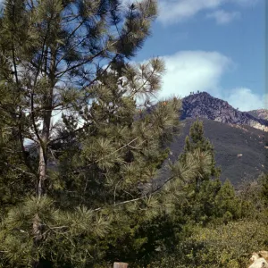 SBBG entrance sign, Mission Canyon Road in front of Garden, old driveway entrance