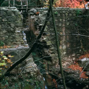 Old Mission Dam, Fall 1970 