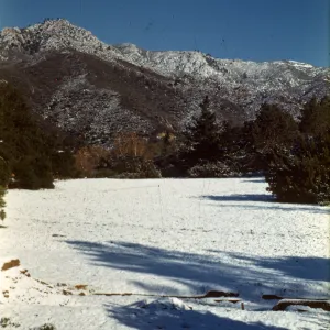Garden Meadow in Snow, January 1949