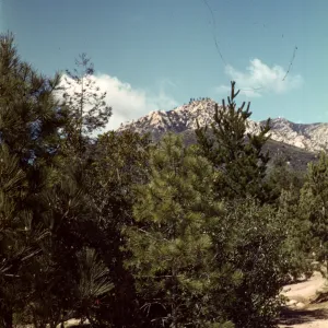 Old Foothill Section