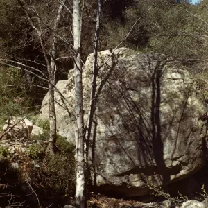 Lassiter Boulder, Mission Creek, Mission Canyon