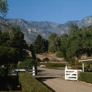 View of Garden with burned slopes of Santa Ynez, after the Coyote Fire, Courtyard