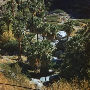 Palm Valley, Palm Springs