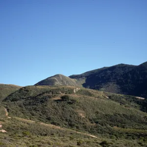 Montana de Oro, chaparral