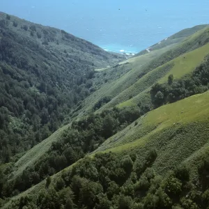 view to Pacific Ocean from Jolon Road
